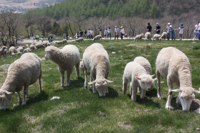 사용자 삽입 이미지