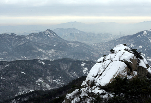 사용자 삽입 이미지