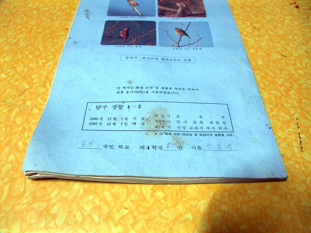 사용자 삽입 이미지