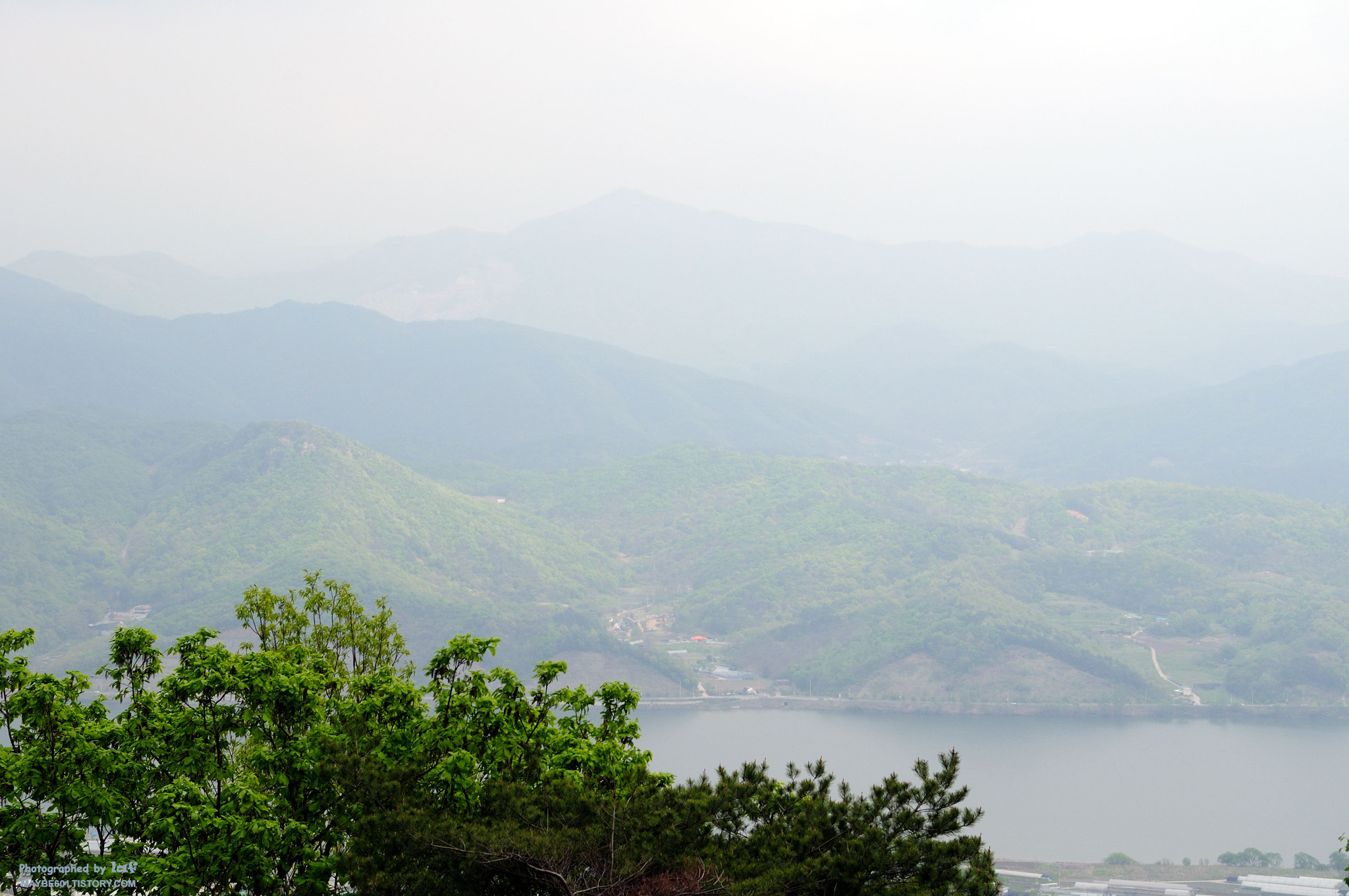 사용자 삽입 이미지