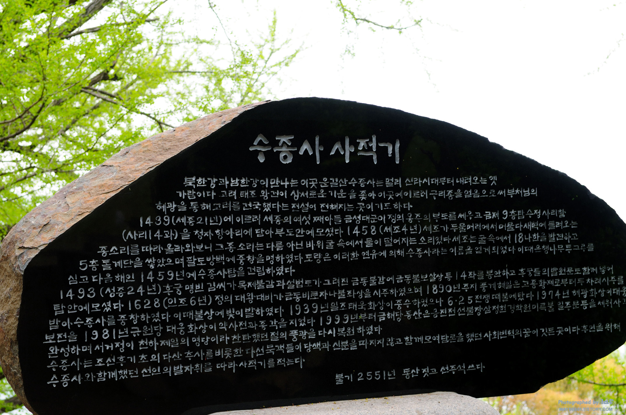 사용자 삽입 이미지