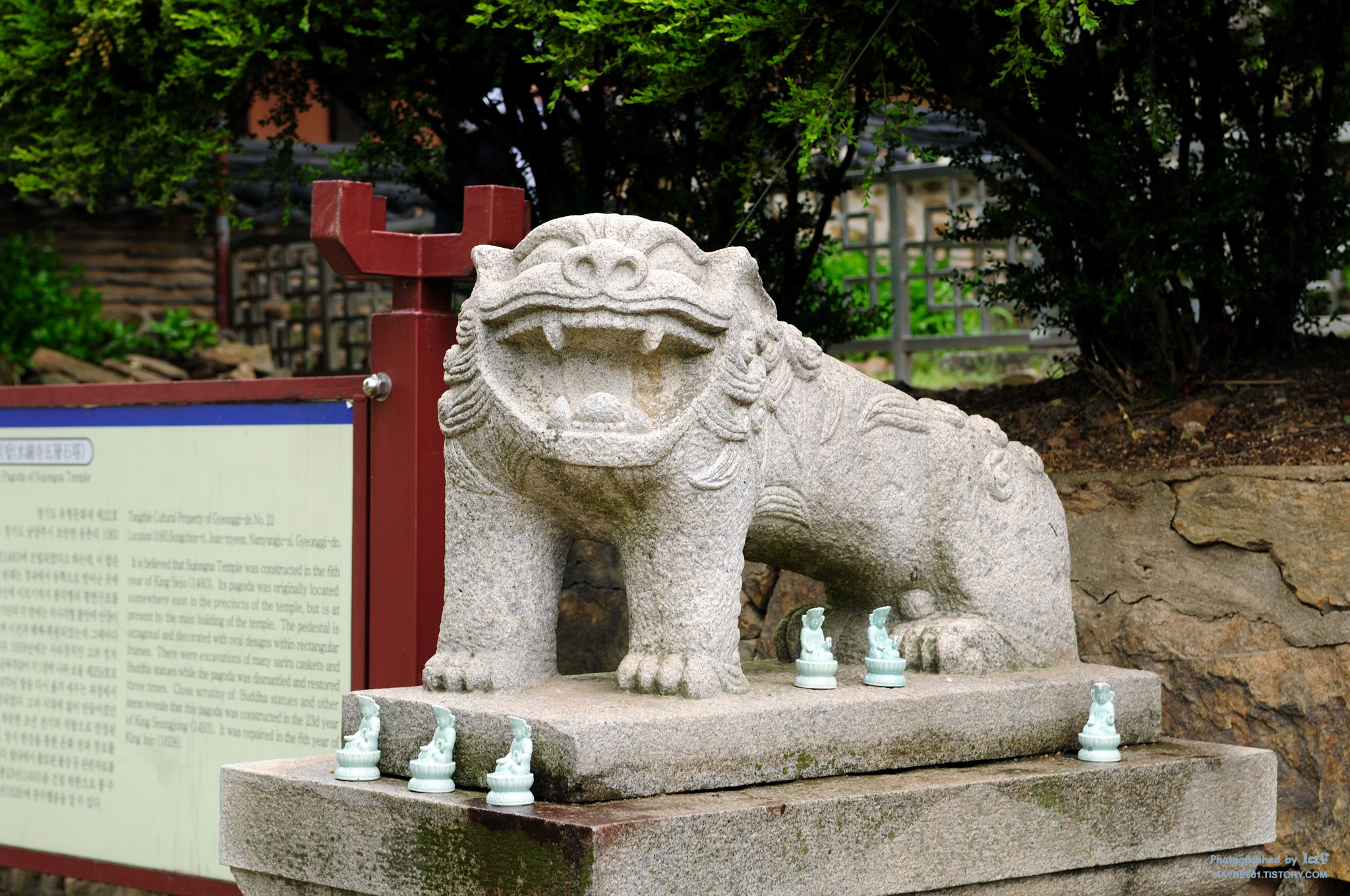 사용자 삽입 이미지