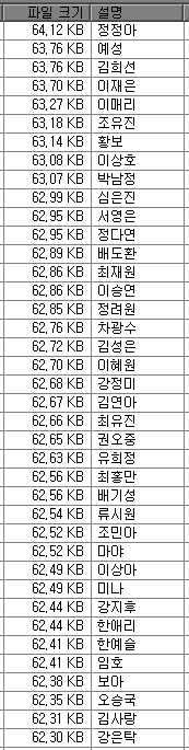 사용자 삽입 이미지