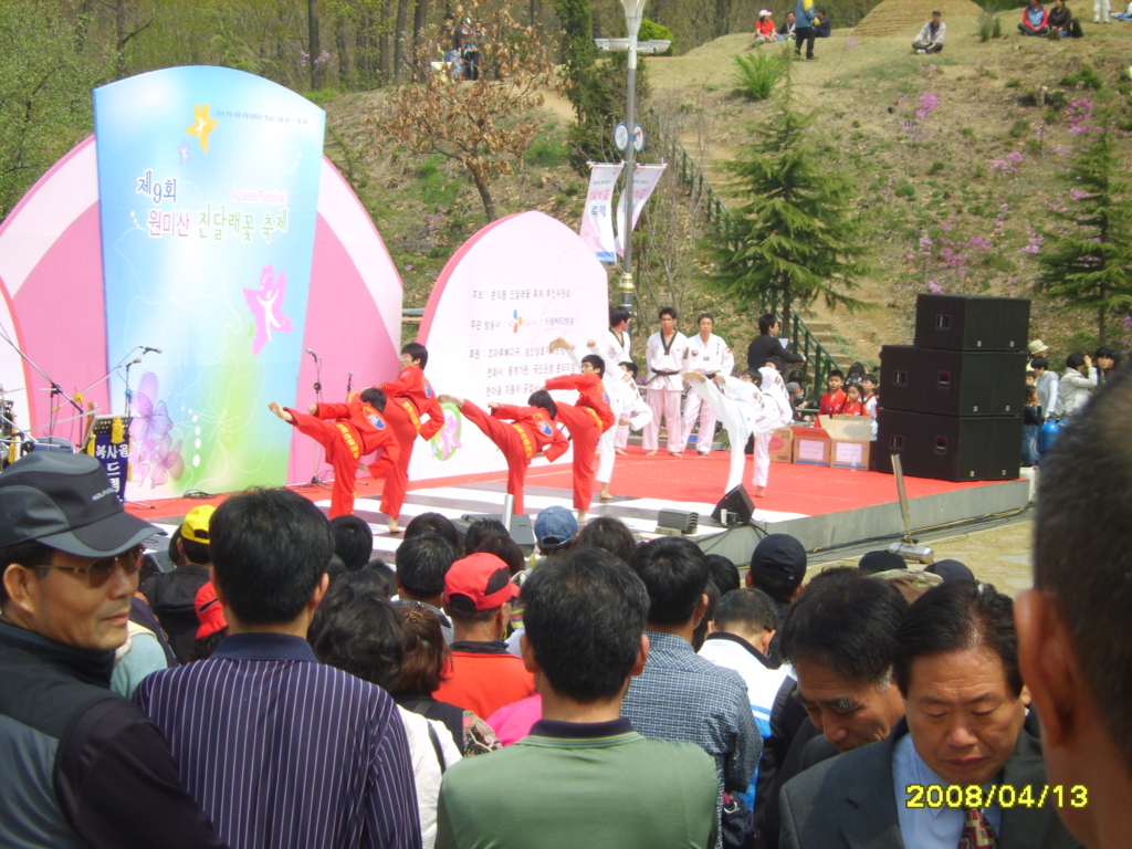 부천 진달래 축제