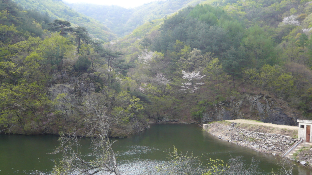 사용자 삽입 이미지