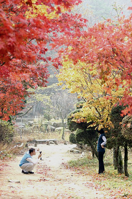 사용자 삽입 이미지