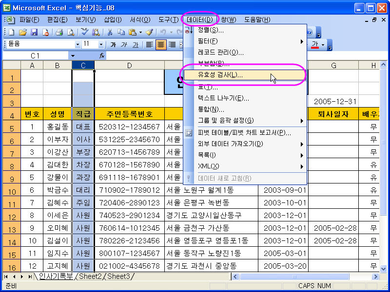 사용자 삽입 이미지