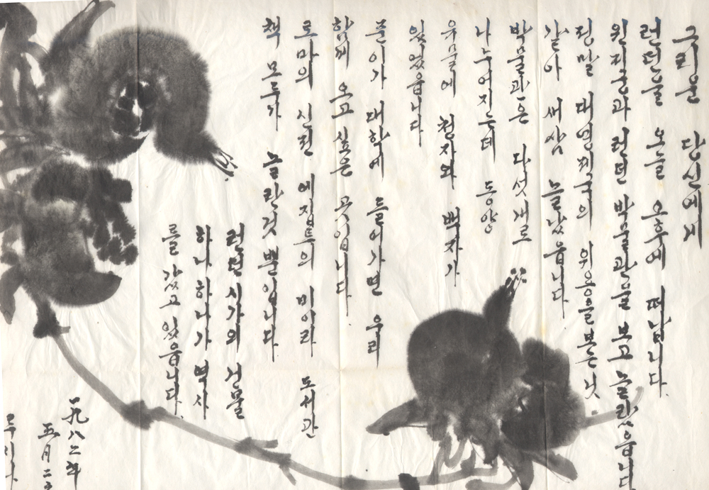 사용자 삽입 이미지