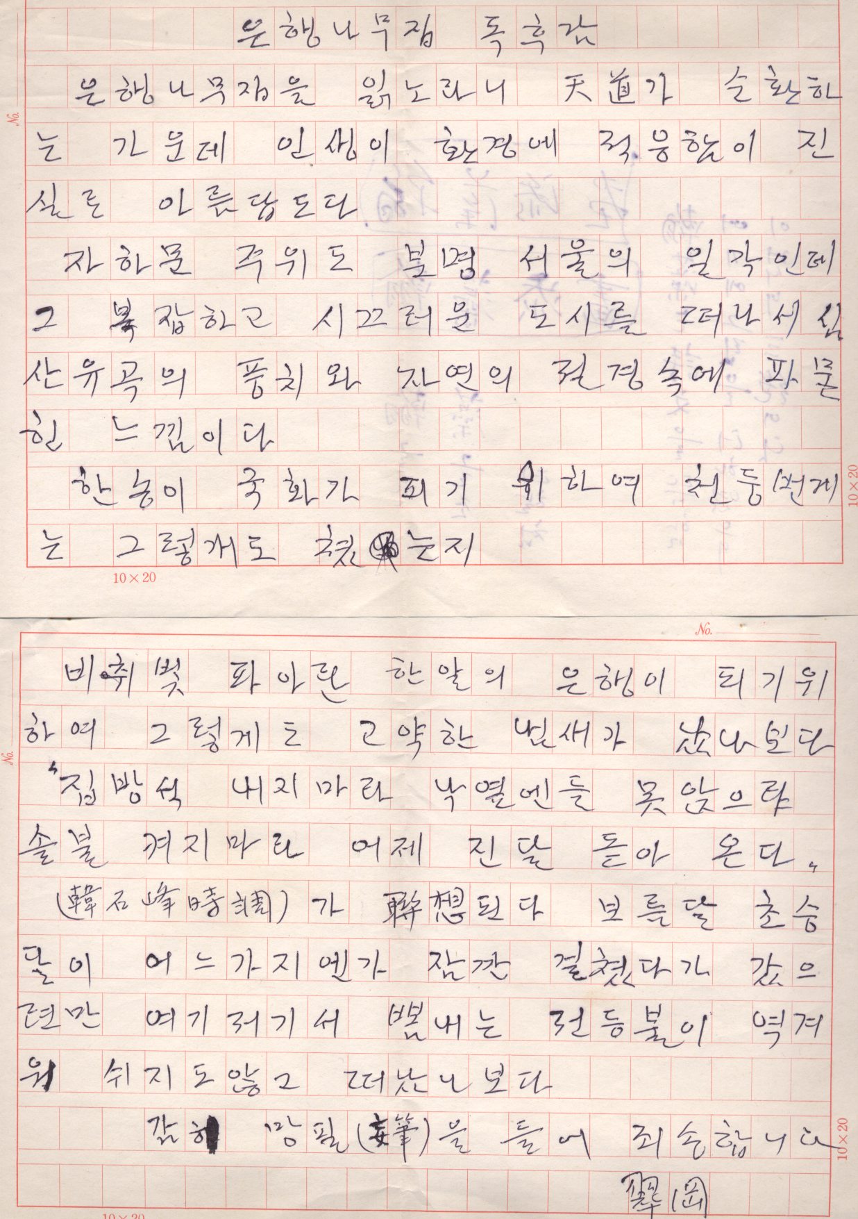 사용자 삽입 이미지