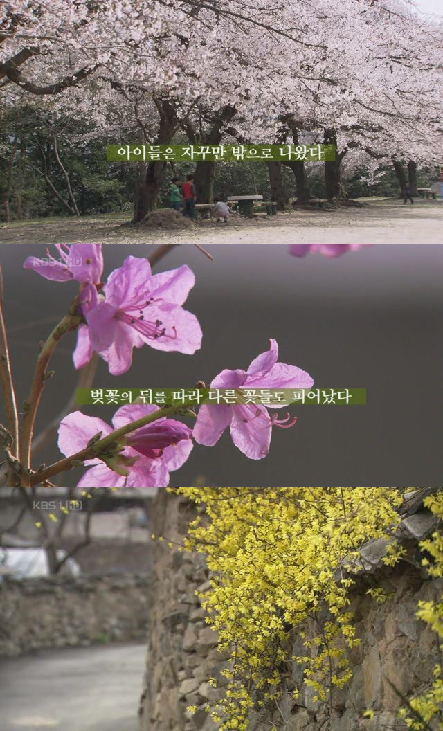 설기획 엄마야 강변살자 섬진강 아이들, 1년간의 기록