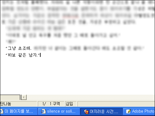 사용자 삽입 이미지