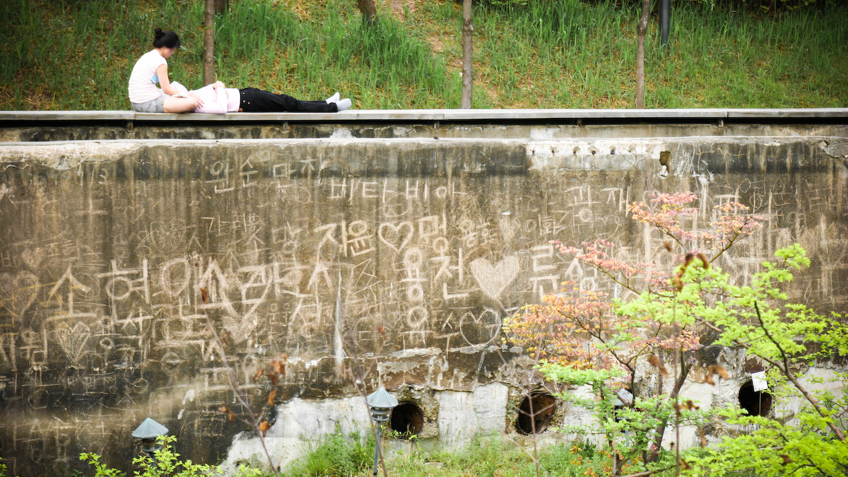사용자 삽입 이미지