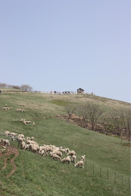 사용자 삽입 이미지