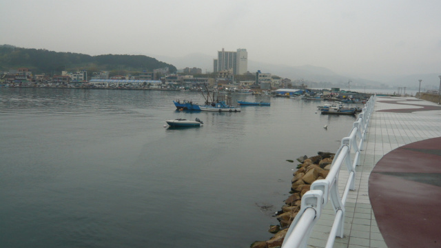 사용자 삽입 이미지