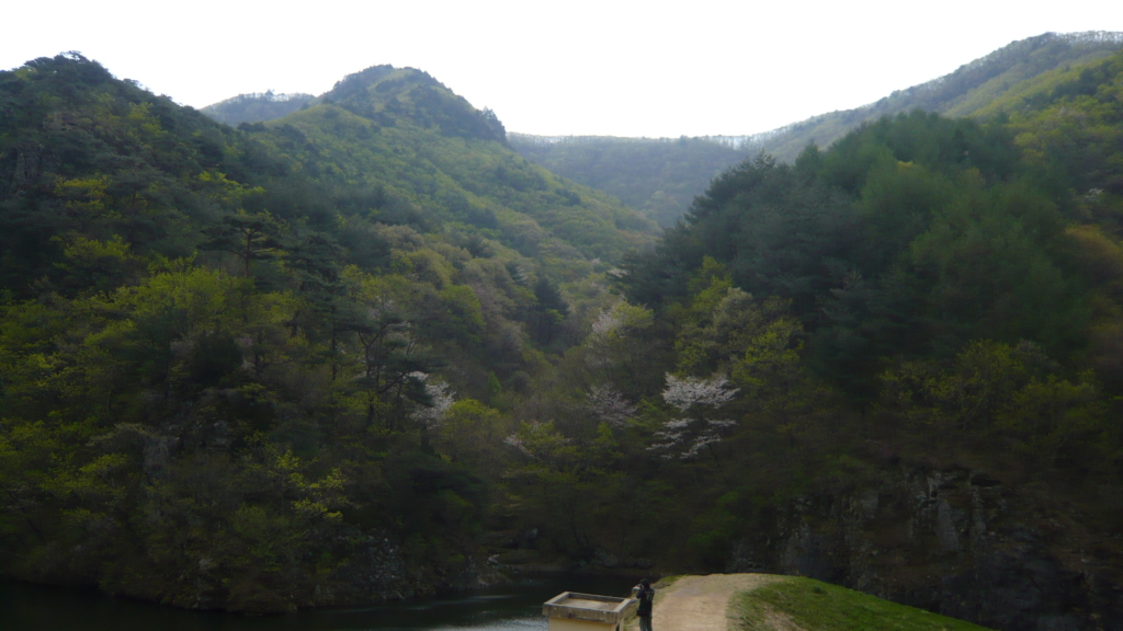 사용자 삽입 이미지