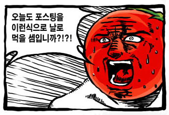 사용자 삽입 이미지