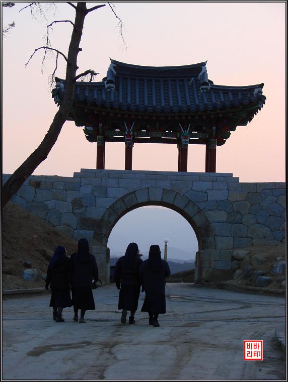 사용자 삽입 이미지