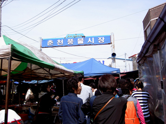 사용자 삽입 이미지