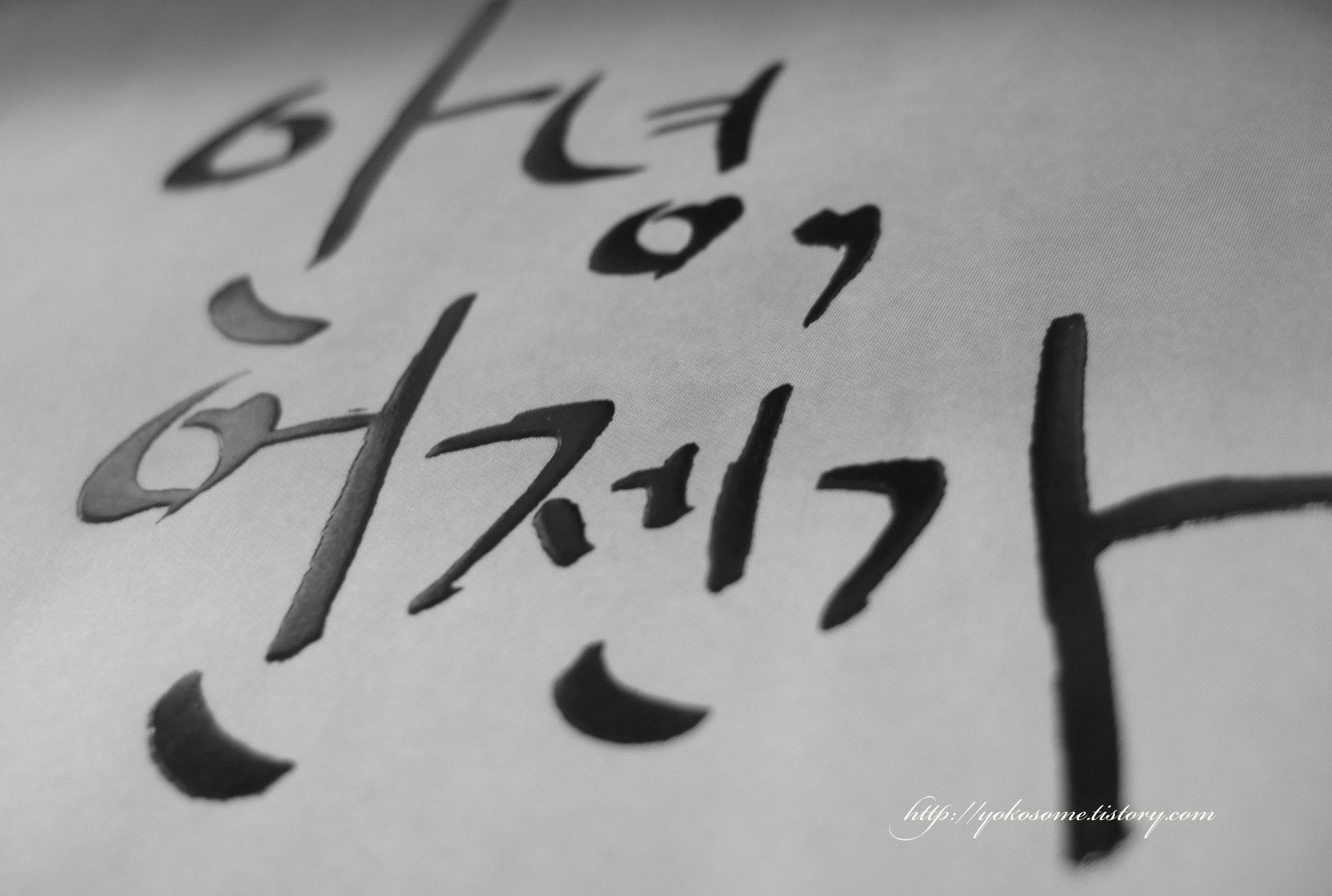 사용자 삽입 이미지