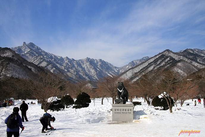 사용자 삽입 이미지