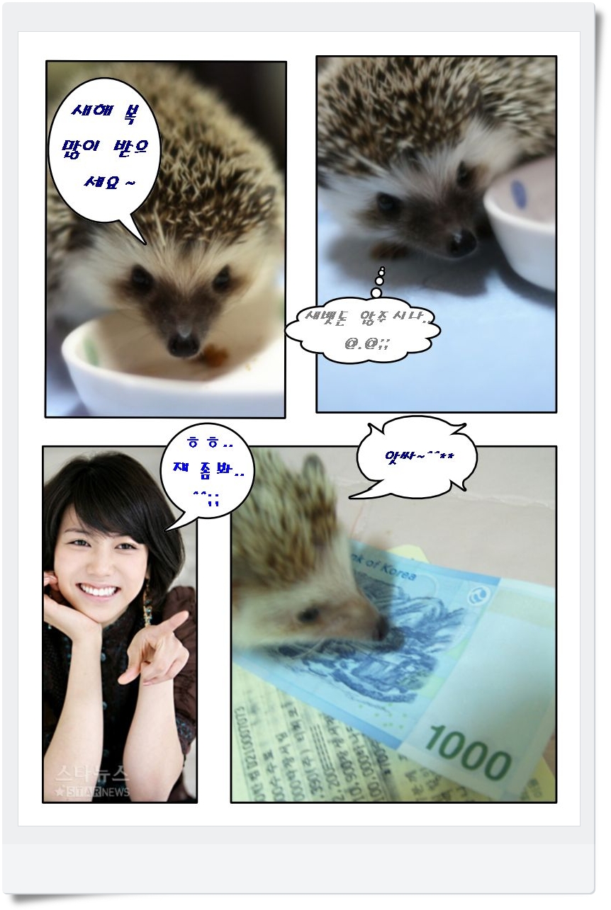 사용자 삽입 이미지