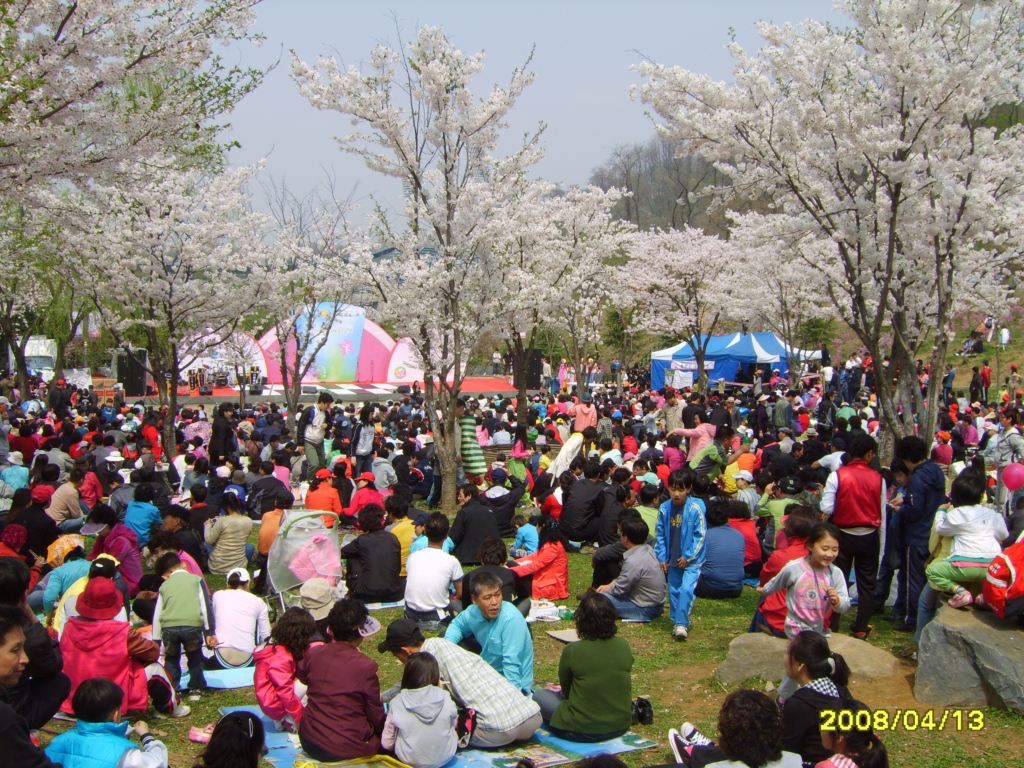 부천 진달래 축제