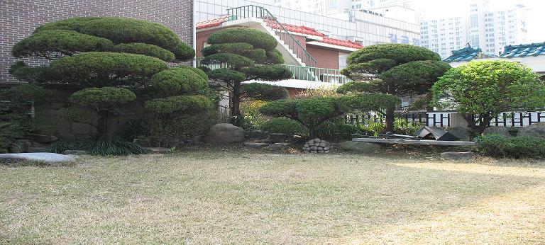 사용자 삽입 이미지