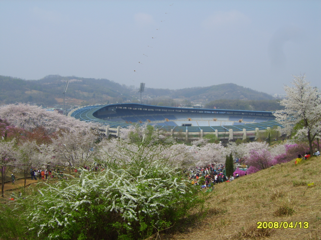 부천 진달래 축제