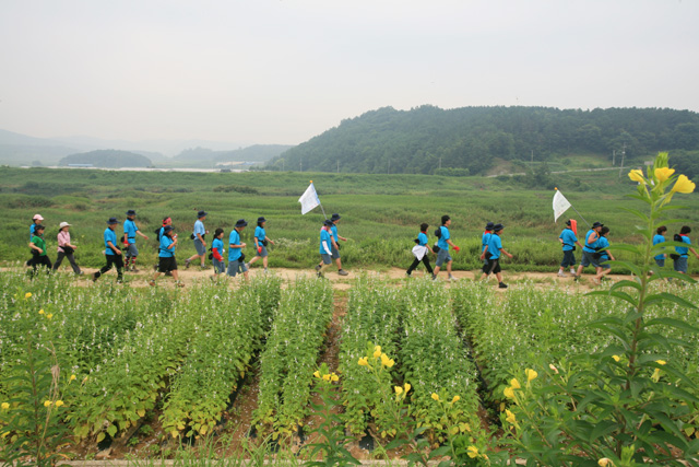 사용자 삽입 이미지