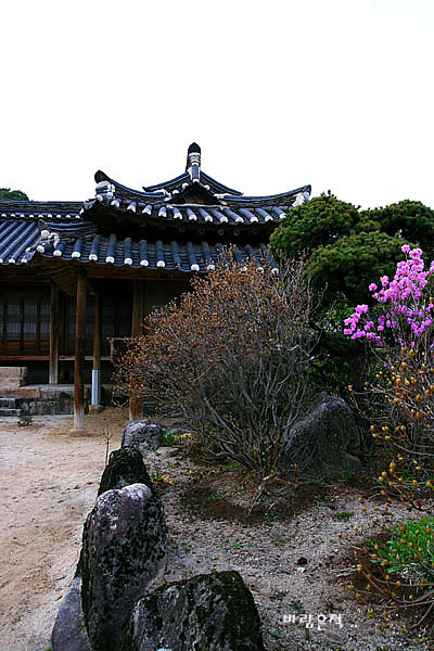 사용자 삽입 이미지