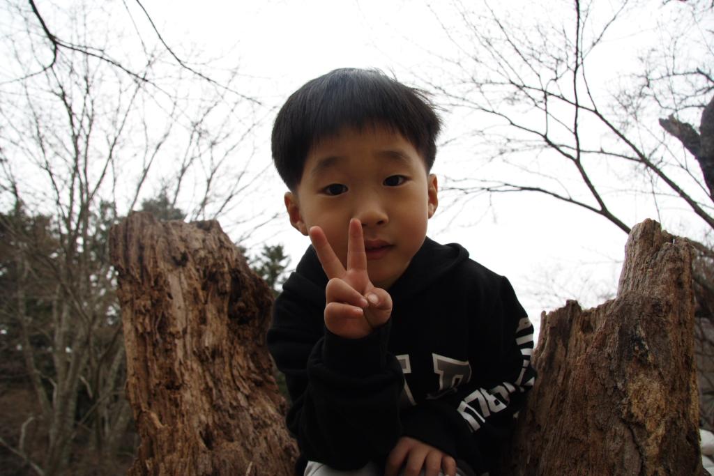 사용자 삽입 이미지