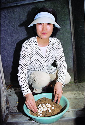 사용자 삽입 이미지