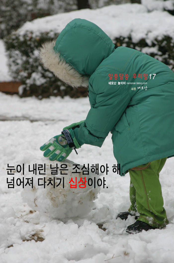 사용자 삽입 이미지