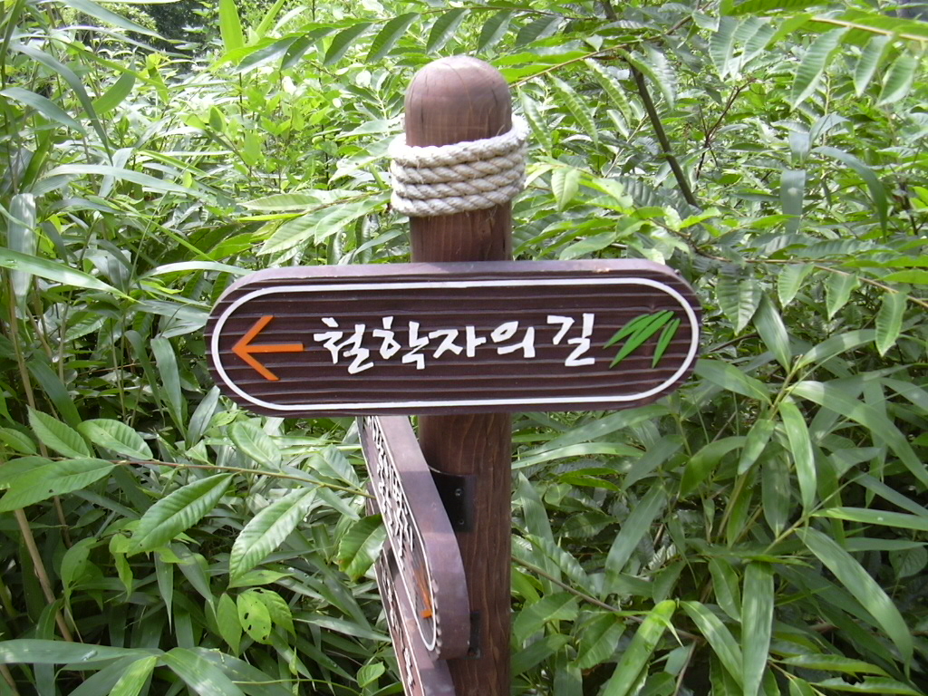죽녹원