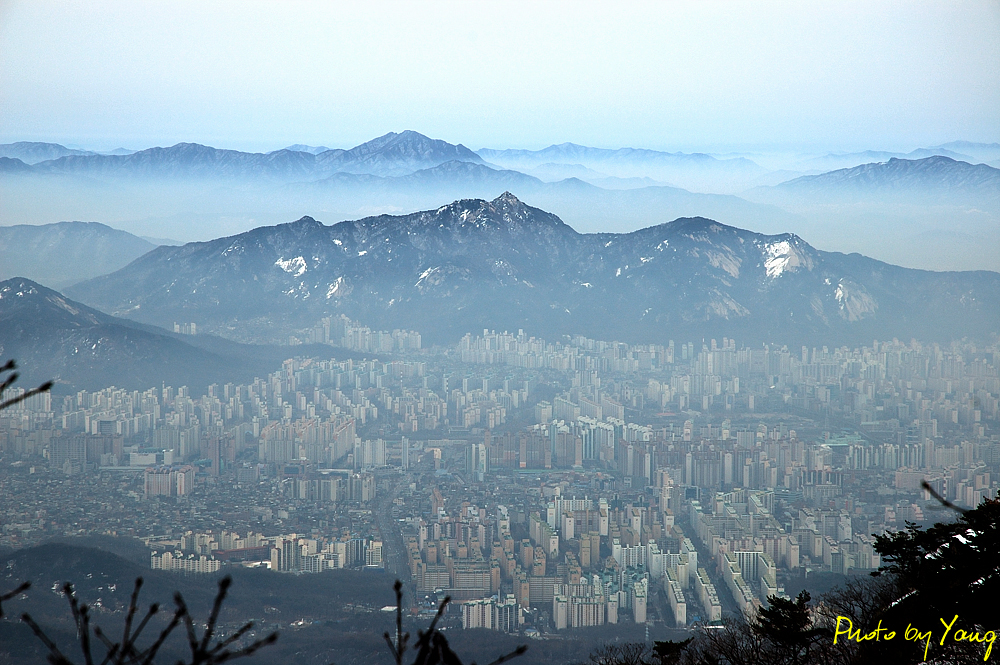 사용자 삽입 이미지