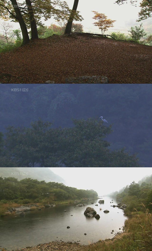 설기획 엄마야 강변살자 섬진강 아이들, 1년간의 기록