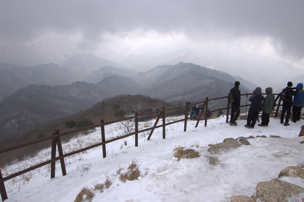 사용자 삽입 이미지