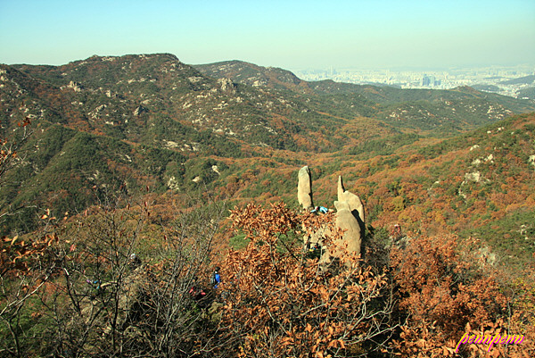 사용자 삽입 이미지