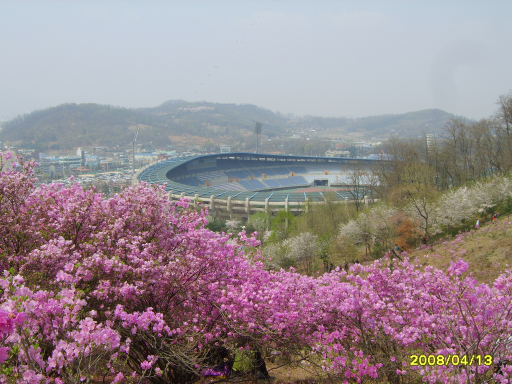 부천 진달래 축제