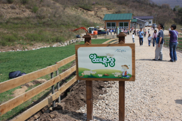 사용자 삽입 이미지