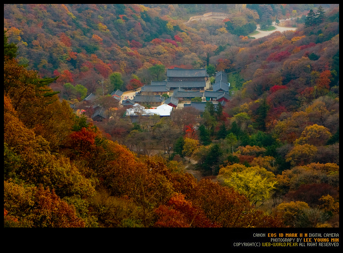 백양사 전경