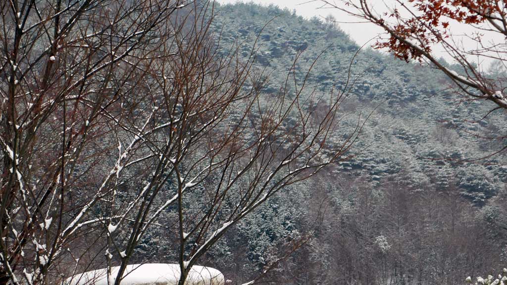 사용자 삽입 이미지