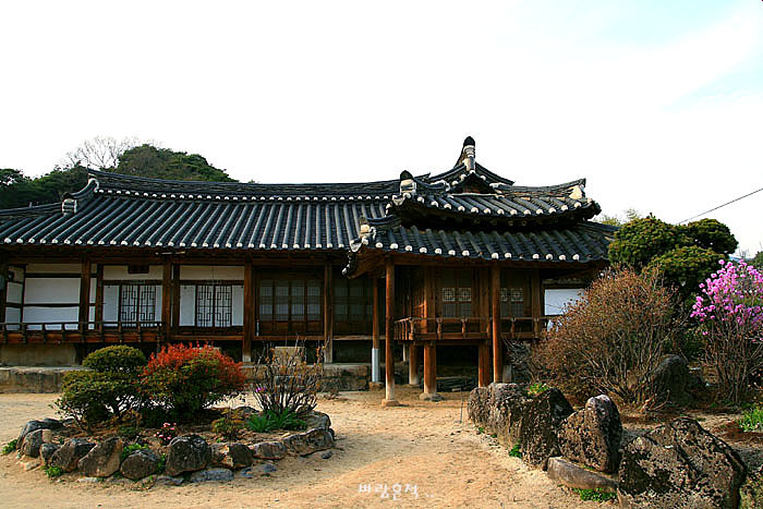 사용자 삽입 이미지