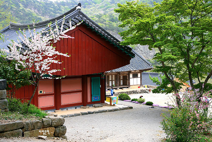 사용자 삽입 이미지