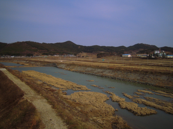 사용자 삽입 이미지