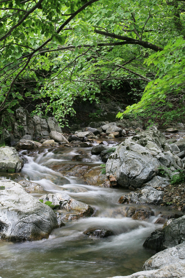 사용자 삽입 이미지