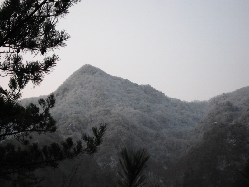 사용자 삽입 이미지