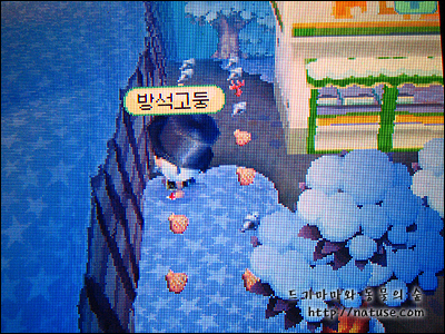 사용자 삽입 이미지