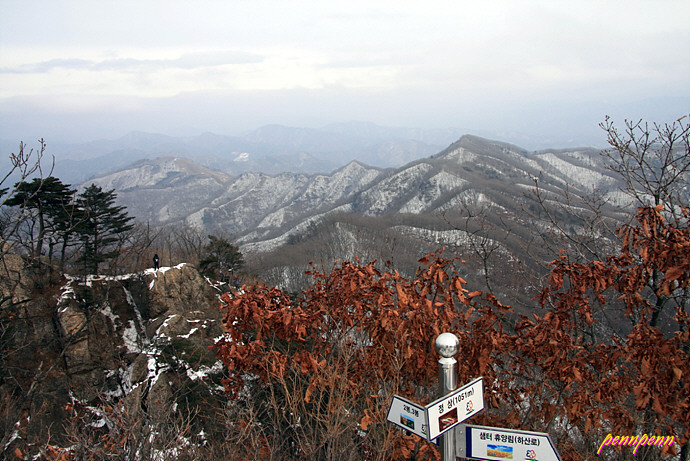 사용자 삽입 이미지