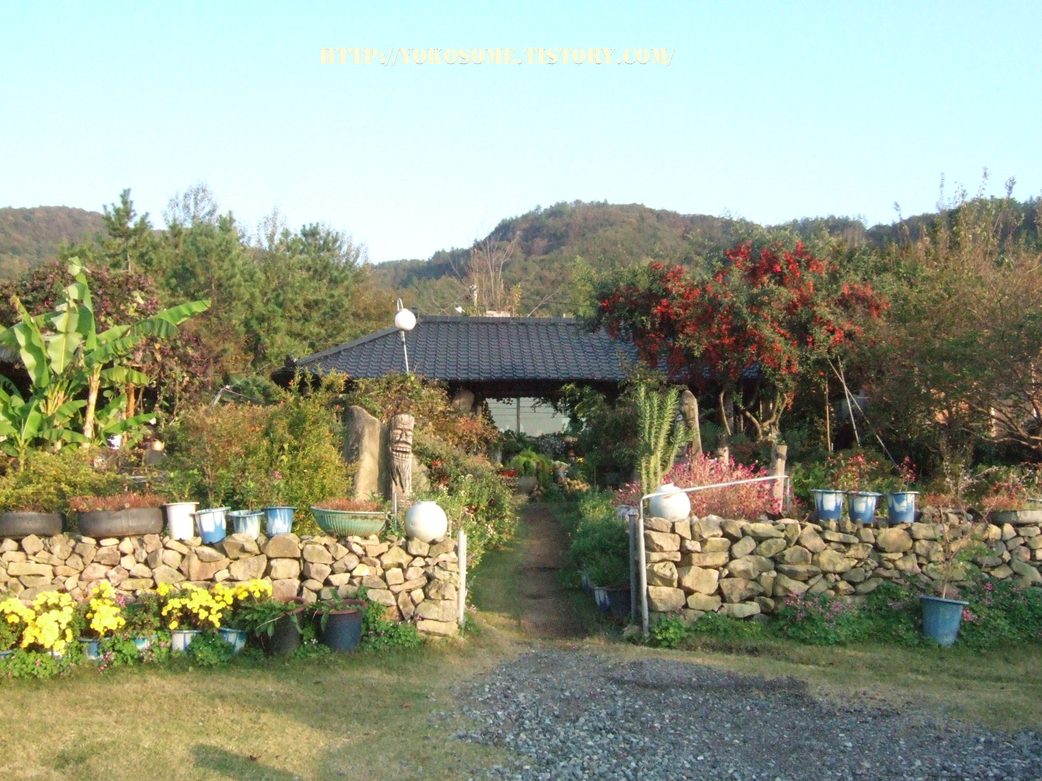 사용자 삽입 이미지